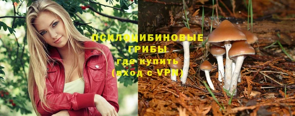 гидра Абдулино
