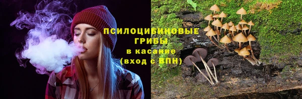 трава Абаза