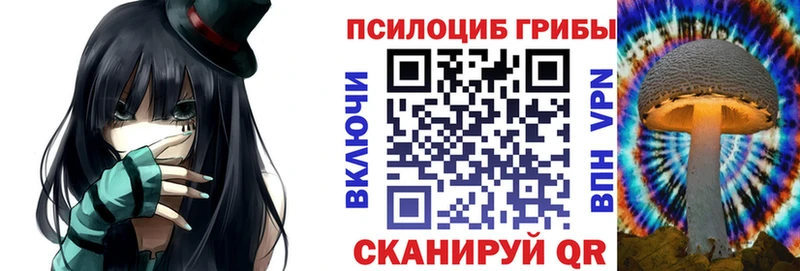 Псилоцибиновые грибы Psilocybine cubensis  где купить наркотик  Знаменск 