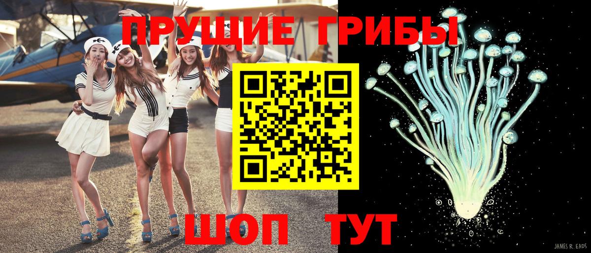 Псилоцибиновые грибы Cubensis  Вход с VPN  Знаменск 