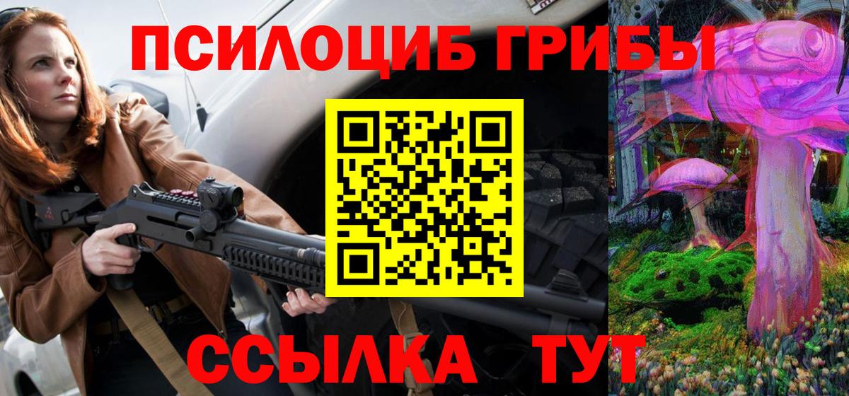 Галлюциногенные грибы Psilocybine cubensis Знаменск